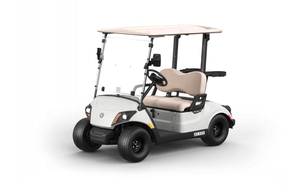 2-Seater Golf Cart